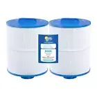 In The Swim Filter Cartridge 2-Pack Replacement for Artesian Spas 50 AA18027