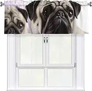 LHBWCVN Pug Dog Valances for Windows, Rod Pocket Window Treatment Drapes Farmhouse Kitchen Curtains Short Blackout Window Curtains for Living Room Bedroom Decor 54x18 Inch