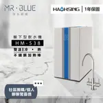 【HAOHSING 豪星】【聊聊驚喜價】HM-538 雙溫櫥下飲水機