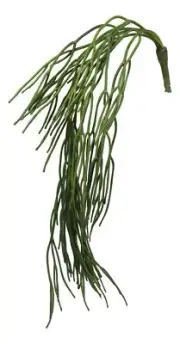 Pack of 6 Realistic Lifelike Artificial Soft Draping Leafy Stem Botanicas 26"L