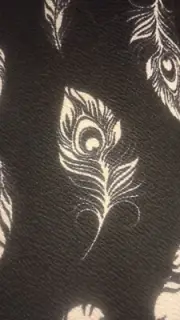 LuLaRoe cassie NWT women's skirt XL black peacock feathers