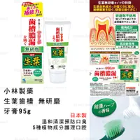 在飛比找蝦皮購物優惠-牙膏 日本製 現貨【小林製薬】生葉齒槽 無研磨 牙膏95g 