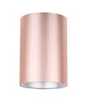 Surface: Surface Mounted Ceiling DownLight Pink