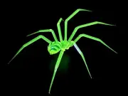 Giant 4” Uranium Glass Vaseline Glass Spider Blue Metallic Swirl By Rafael