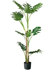 [SOGA] Potted Turtle Back Fern Artificial Plant 175cm in Multi