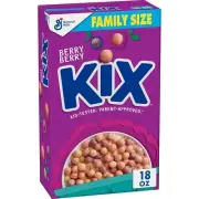 Berry Berry Kix Whole Grain Breakfast Cereal, Crispy Corn Cereal, Family Size, 1