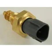 RAE Coolant Temperature Sensor - CS919
