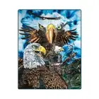 Plush Queen Size Bald Eagle Blanket - Extremely Soft - Find 13 Eagles