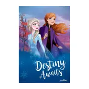 Disney Frozen II Destiny Awaits Poster 91.5x61cm Kids/Child Room Wall Decor