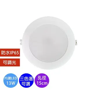 【華燈市】LED 13W 智慧調光嵌燈(燈飾燈具/崁燈/調光/居家燈具)