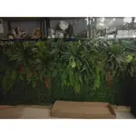 植生牆人造花藝落地花藝盆栽)