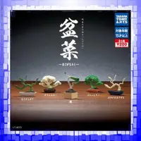 在飛比找買動漫優惠-日版正版 T-Arts 盆菜 全5款 盆菜 BONSAI 花