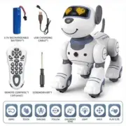 NEW Blue Kids Smart Dancing Stunt Intelligent Robot Dog Remote Control Toy Gift