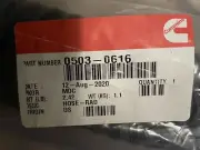 Onan 503-0616 24 Inch X 2 1/2 Inch ID Flexible Radiator Hose.