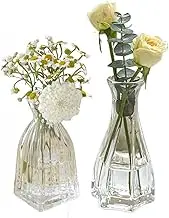 Set of 2 Small Clear Glass Vase,Embossed Glass Bud Vase Hydroponic Vase,Mini Table Vase Clear Flower Vase Decorative for Wedding Farmhouse Party Home Centerpieces Decor(Clear Grey)