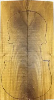 4/4 Violin/Mandolin Top/Back Golden Phoebe Wood Instrument Luthier Supply 3673