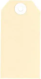 Avery Buff Shipping Luggage Tags - Gift Tags - Swing Tags - Mailing and Craft Supplies, Beige, 108 x 54 mm, 1000 Tags (14000)