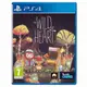 PS4 狂野之心 / 簡中英文版 / The Wild at Heart【電玩國度】預購商品