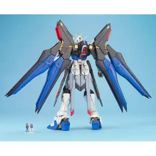 【BANDAI】組裝模型 鋼彈SEED MG 1/100 ZGMF-X20A 攻擊自由鋼彈