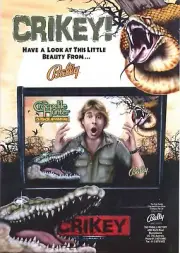 Crocodile Hunter Outback Adventure Pinball Flyer PROTOTYPE Game Art 8.5" x 12"