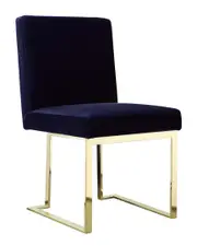 Pangea Home Set of 2 Gold Dexter Side Chairs
