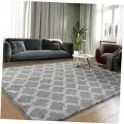 Shag Area Rug Extra Soft Rugs for Living Room, High 5x7 Feet Light Grey/White