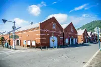 在飛比找雄獅旅遊優惠-北海道旅遊｜繡球花山丘.洞爺湖.函館夜景.金森倉庫.企鵝遊行