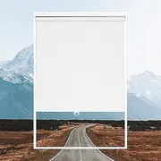 [AOSKY] Roller Window Shades Blackout Blinds for Windows Cordless Bedroom Shade Room Darkening Shades Door Blinds with Thermal Insulated Easy to Install for Home，Office，Bathroom W23 xL72 Pure White