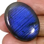 40.4 Cts 100% Natural Spectrolite Blue & Purple Fire Oval Cabochon Gems EO6636