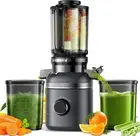 Cold Press Masticating Juicer Machines with Built-In Blades for Slicing Whole Fr