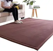 Coral Velvet Area Rugs Play Mat 3cm Extra Thick Large Area Carpet Crawling Nursery Baby Toddler Children Kids Room Non-Slip Yoga Mat Exercise Pads Tatami Mat (Style2, 200 * 240cm)