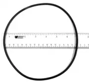 O-Ring/volute