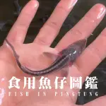 50魚-幼魚舖觀光魚場： 鱘龍魚苗區參觀門票