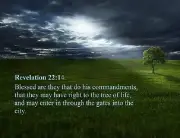 Revelation 22:14 Bible Scripture Tree of Life Art Print 8x10 Christian Photo 24