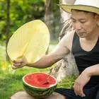 Plastic Bushel Fan Yellow Anti-breakage Fan High Quality Palm-Leaf Fan