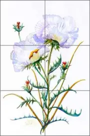 Ceramic Tile Mural Backsplash Libby Poppy Flowers Floral Art SLA048