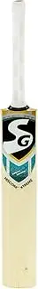 Hi-Score Xtreme Junior English Willow Cricket Bat