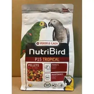 🅦✨ 比利時凡賽爾 P15 滋養丸 1kg 飼料 nutribird VERSELE-LAGA