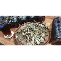 在飛比找蝦皮購物優惠-台灣的新鮮魚腥草茶～