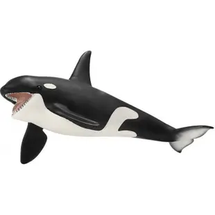 COLLECTA動物模型 - 虎鯨