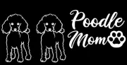 Mini Poodle - 3 Pack 5" White Vinyl Graphic Decal Car Windows Laptop Notebook
