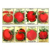 Tomato Seed Packet Reproduction, Vegetable Garden Art Decor, 1 Sticker Sheet