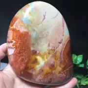829g Natural Ocean Jasper Palm Rock Stone Quartz Crystal Reiki Stone Healing 211