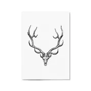 Wapiti Skull Man Cave Afrian Hunting Wall Art