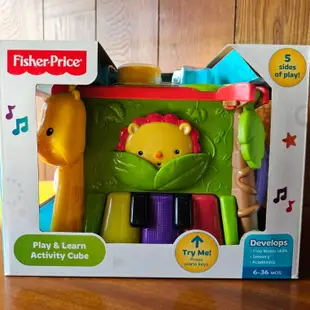 Fisher-Price 費雪 可愛動物積木盒 二手 故障