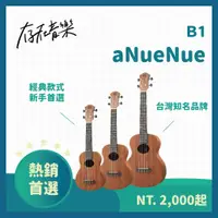 在飛比找蝦皮商城精選優惠-【存在音樂】台灣品牌aNueNue B1 B2 B3 / 2