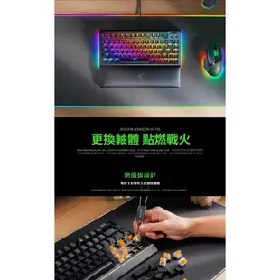 Razer 雷蛇 BlackWidow V4 75% 黑寡婦V4 黑色 白色 熱插拔機械鍵盤 橘軸 中文 英文