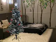 Pre-Lit 4 ft Artificial Xmas Tree with Berries, Stars and Pinecone.