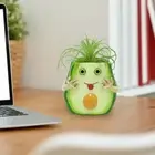 Funny Succulents Pot Cute Cactus Planter Plant Container Home Office