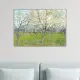 《桃紅色果樹園》梵谷．後印象派 世界名畫 經典名畫 風景油畫-無框60x80CM